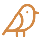 Simple orange bird icon symbolizing wildlife or birdwatching.